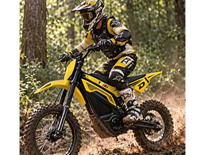 Electric motorcycle
